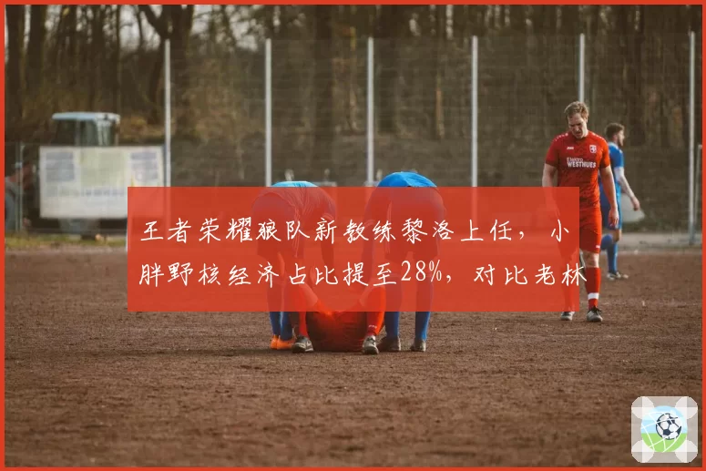王者荣耀狼队新教练黎洛上任，小胖野核经济占比提至28%，对比老林时期蓝领打野效率下降5%